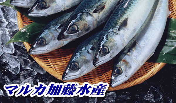 干物・お土産品の工場直販とネット販売(通販)-マルカ加藤水産